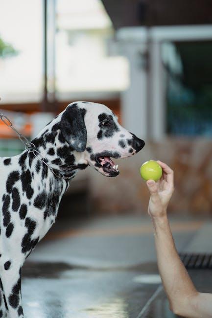 Mental Stimulation Techniques for Focused Training