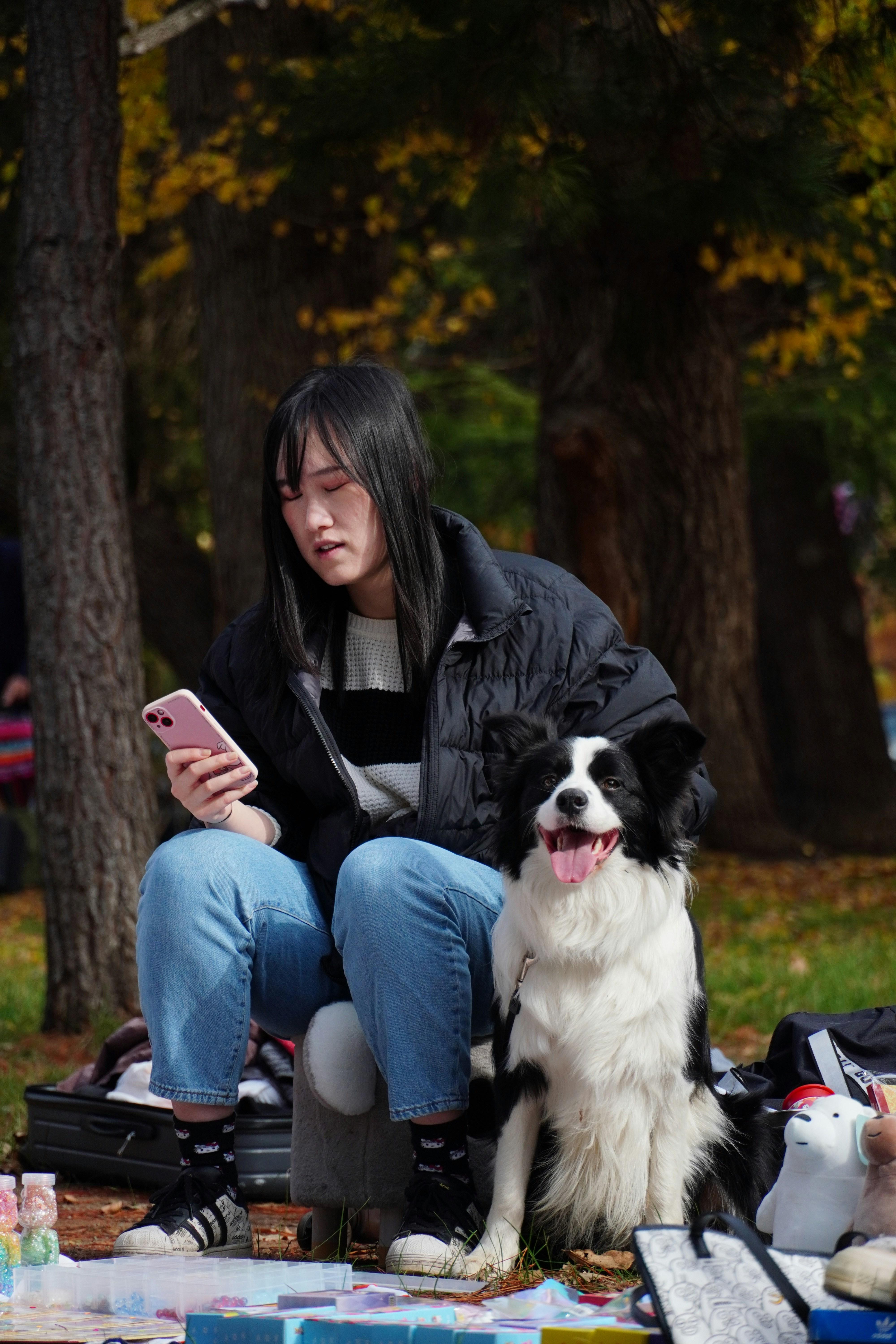 Navigating the Dynamics of Dog Park Interactions