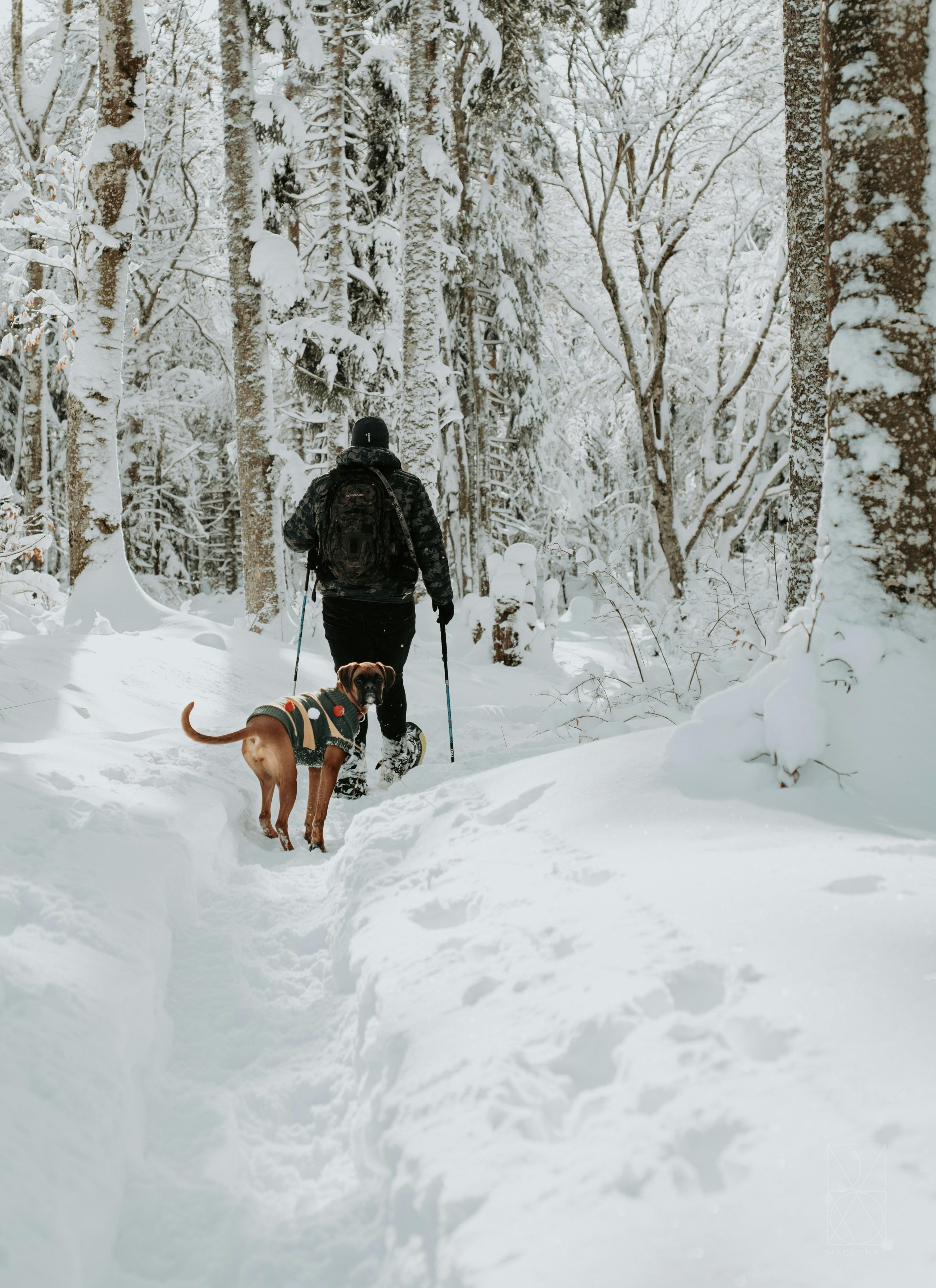 Implementing Consistent ‍Walking Routines for Better ⁢Control