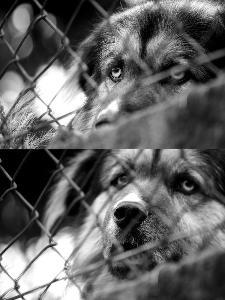 Utilizing Rewards and Positive Reinforcement