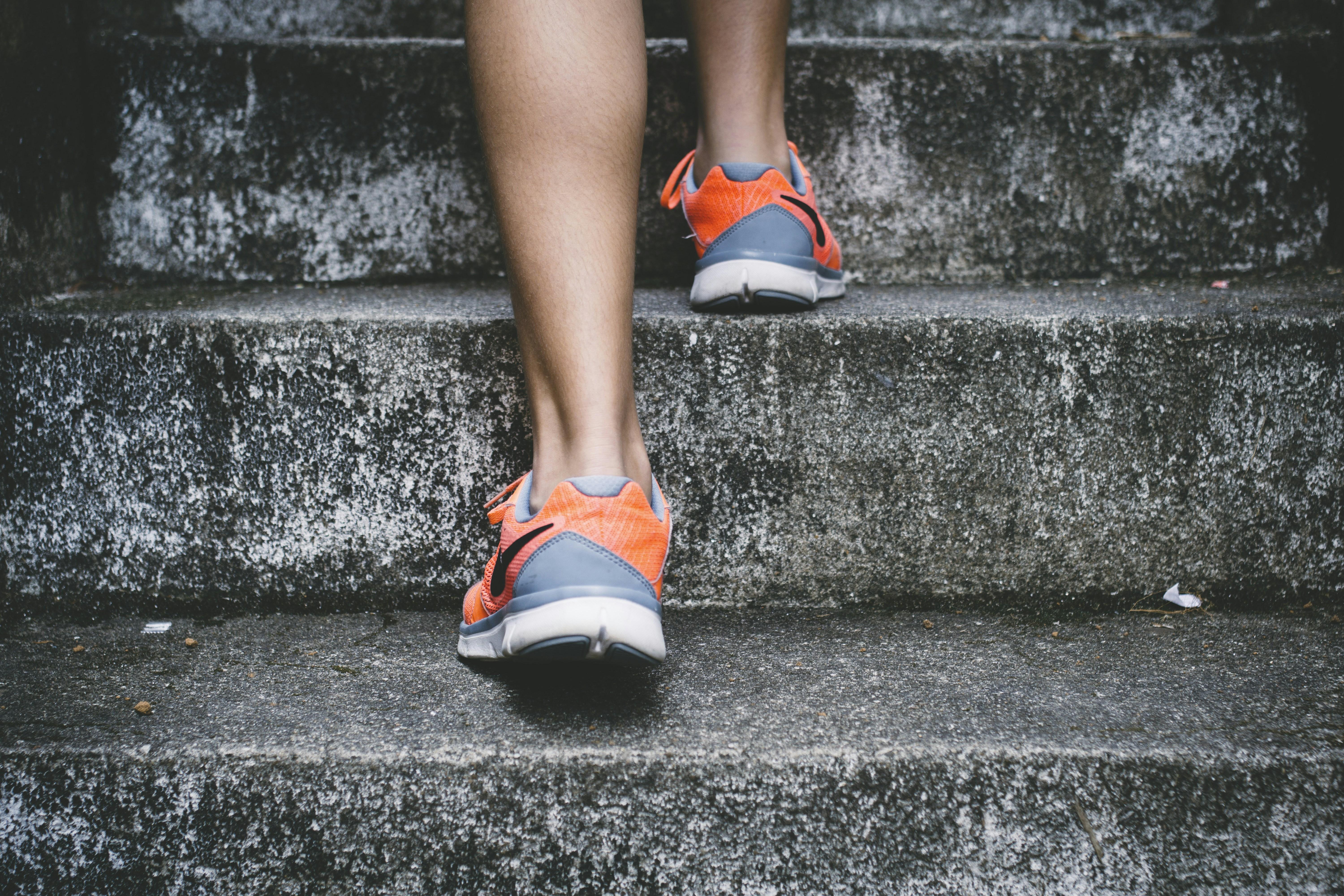 Effective Reinforcement: ​Choosing the‌ Right Rewards ‌for Success