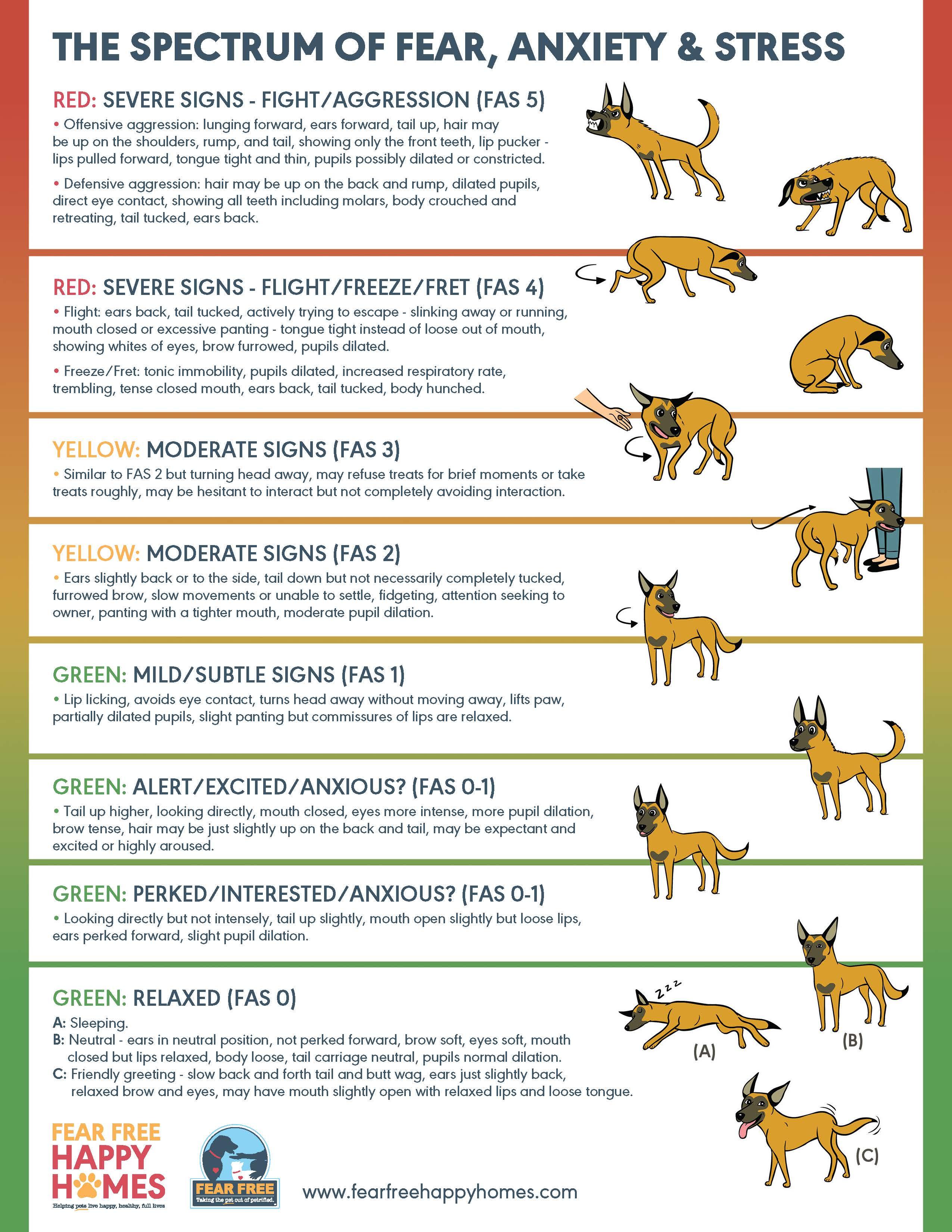 Identifying Signs of Early Life Stress in Pets