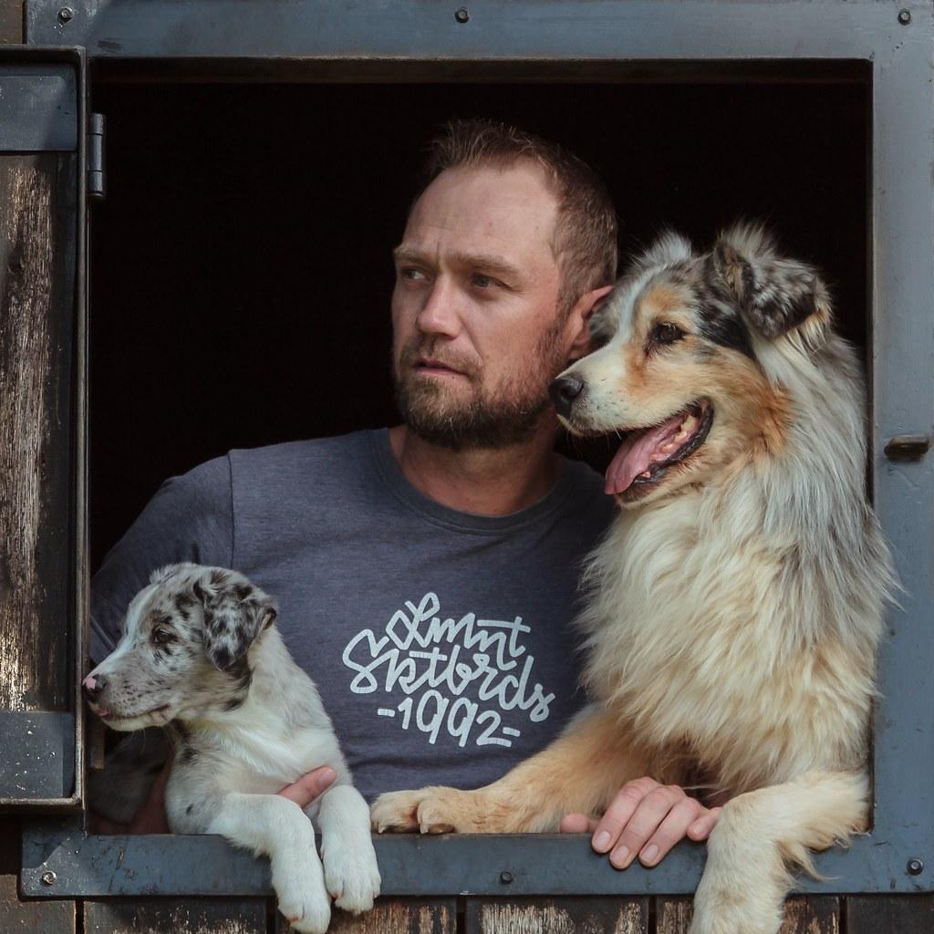 Creating a Safe Environment for Your Anxious Companion