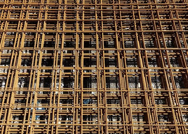 The Science Behind Playful Reinforcement