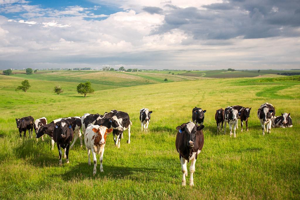 Nurture Meets Nature: Balancing Genetics with Environment