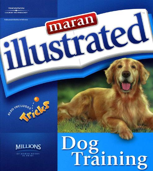 Creating a Comfortable Space for Your Dog