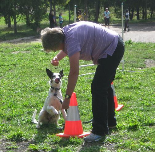 Implementing Positive Reinforcement Techniques