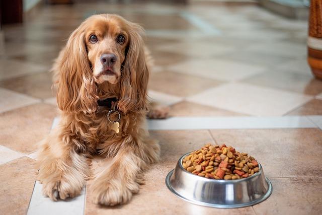 Effective⁢ Training Techniques to Discourage Food Theft