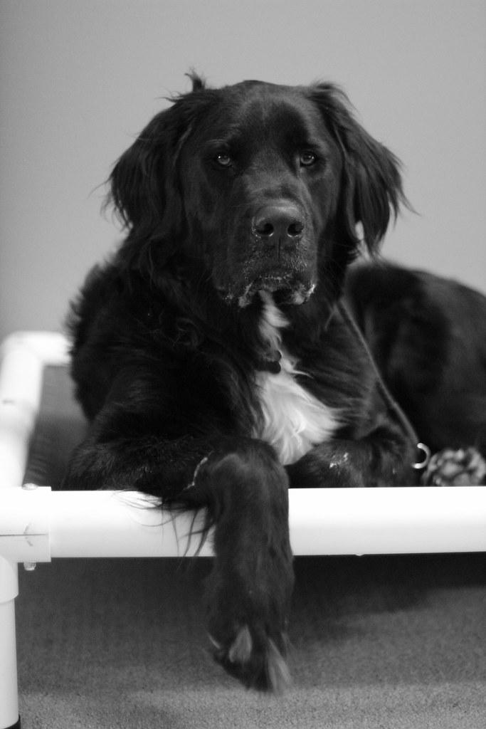 Effective Strategies for Safe Socialization Practices