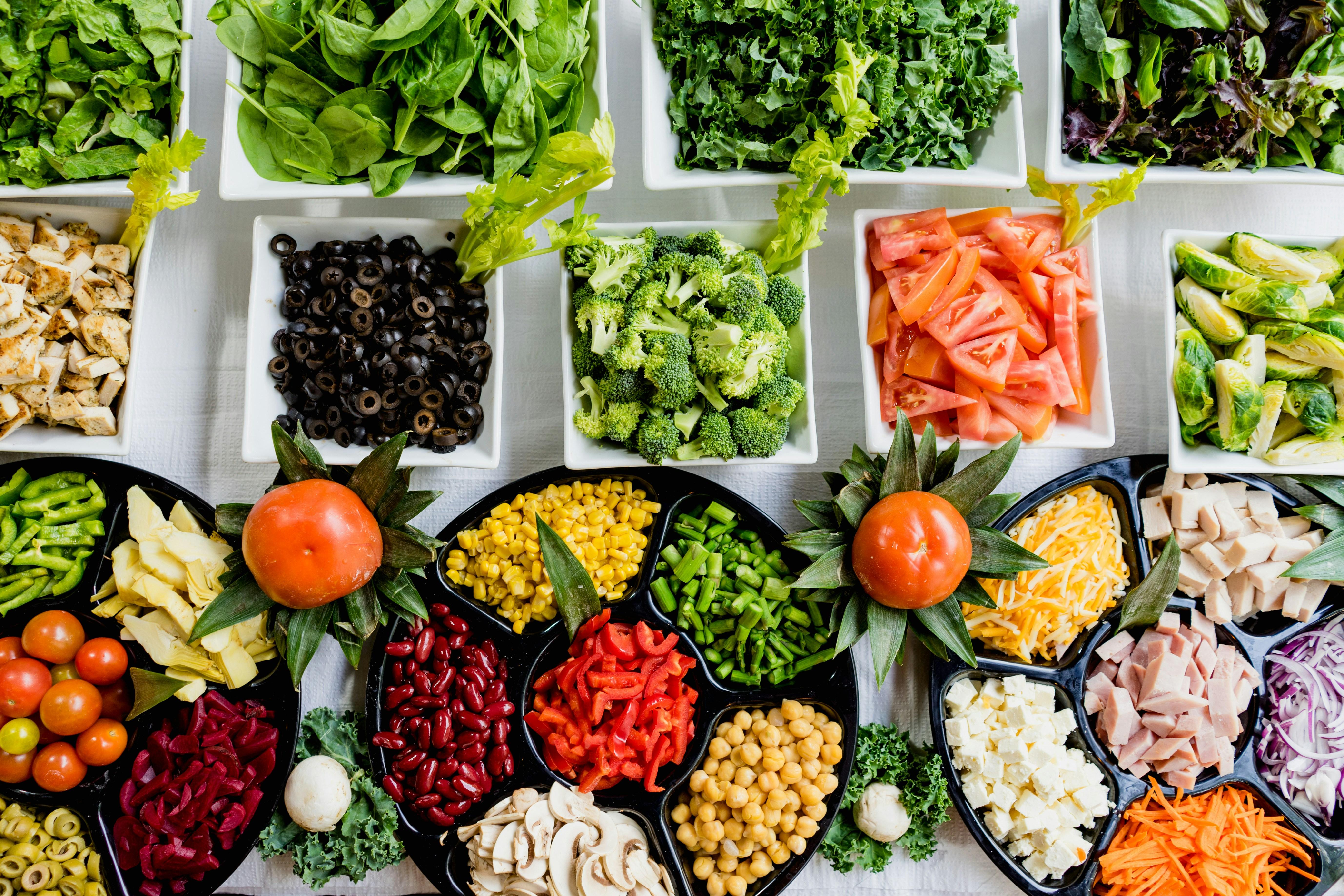 Training Techniques to Modify Aggressive Behavior Around Food