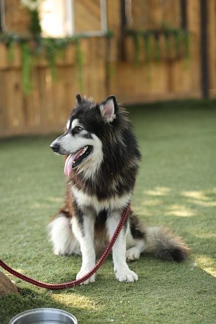 Training Techniques for a Well-Behaved Walker