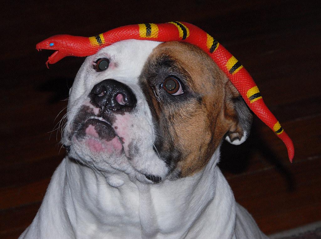 Essential Tips for Managing Territory and Resources