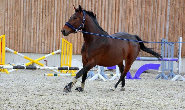 Effective ⁣Training Techniques to Manage Lunging