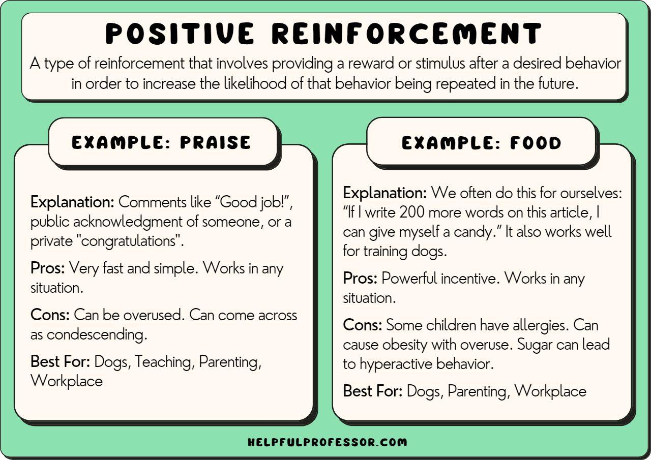 Understanding the Principles of Positive Reinforcement