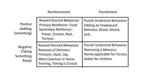 Implementing Positive Reinforcement Techniques